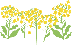 ウエイトドールのお手入れを