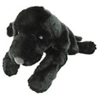 ラブラドールレトリバー黒