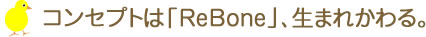 2016年限定メモリアルベア 春夏モデルのコンセプトは「ReBone」、生まれかわる。