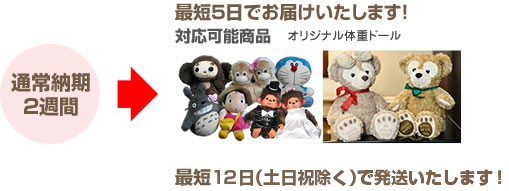 通常２週間の納期を最短５日でオリジナル体重ドール、 最短１２日でウエイトドールベアとウエイトドールベアベビータイプが対象可能商品です